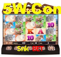 Experimente o Login Seguro Premium no Snk Bet