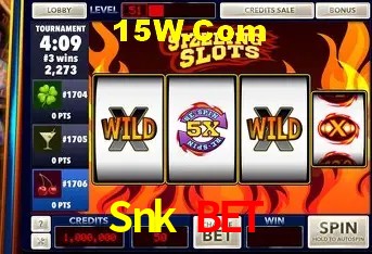 Sistemas de Segurança Snk Bet