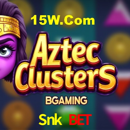 Interface Premium Snk Bet